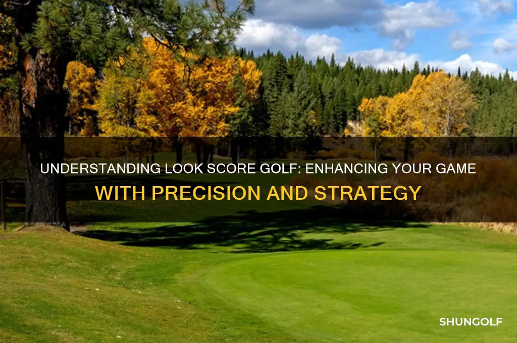 what does look score golf