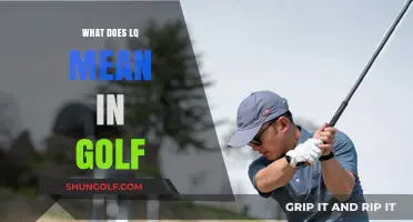 Decoding Golf Jargon: What's the Lowdown on 'LQ'?
