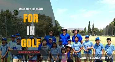 Understanding LVI in Golf: Meaning, Importance, and Practical Applications