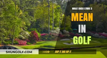 Decoding Golf Slang: What's the Deal with 'Lying 3'?