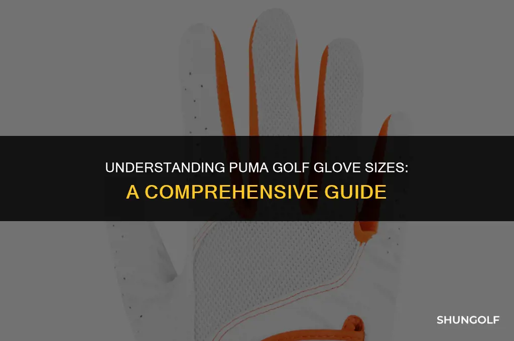 what does m l size on puma golf gloves mean
