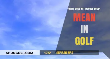 Decoding Golf Slang: What's a Net Double Bogey?