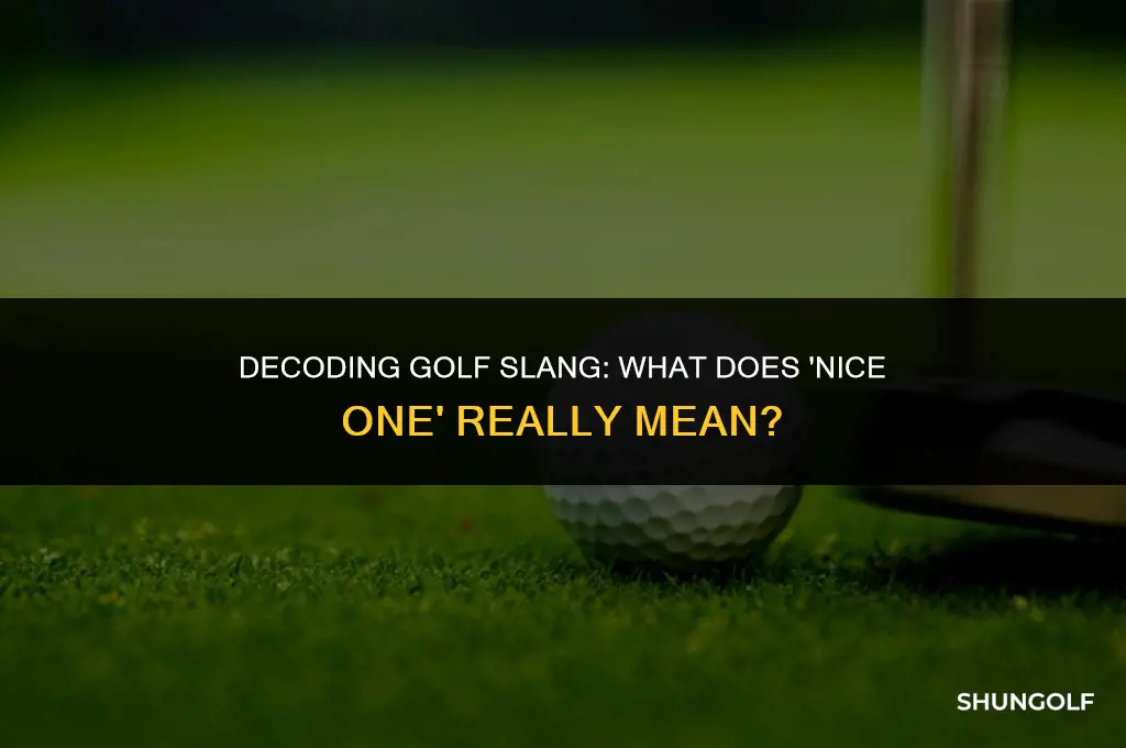 what does nice on mean in golf
