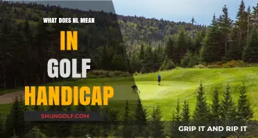 Understanding NL in Golf Handicap: Meaning and Importance Explained