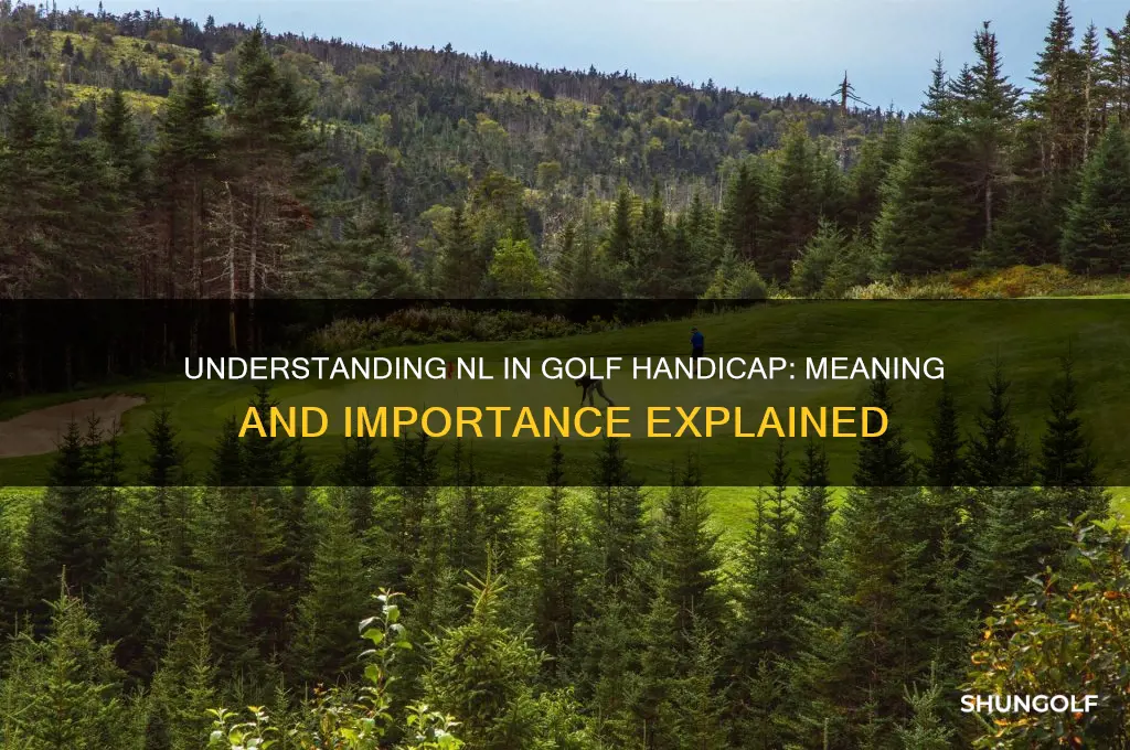what does nl mean in golf handicap