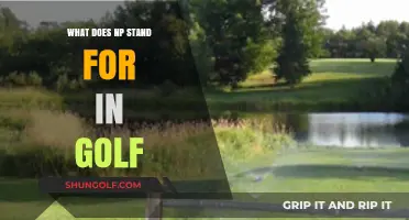Decoding Golf's NP: Understanding Its Meaning and Impact on the Game