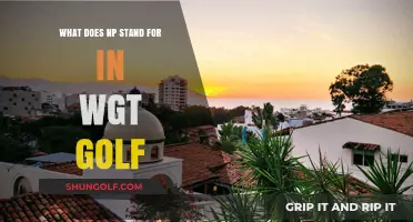 NP in WGT Golf: Decoding the Meaning and Its Impact on Gameplay
