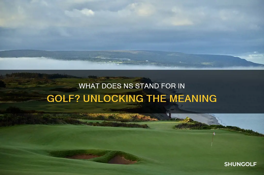 what does ns stand for in golf