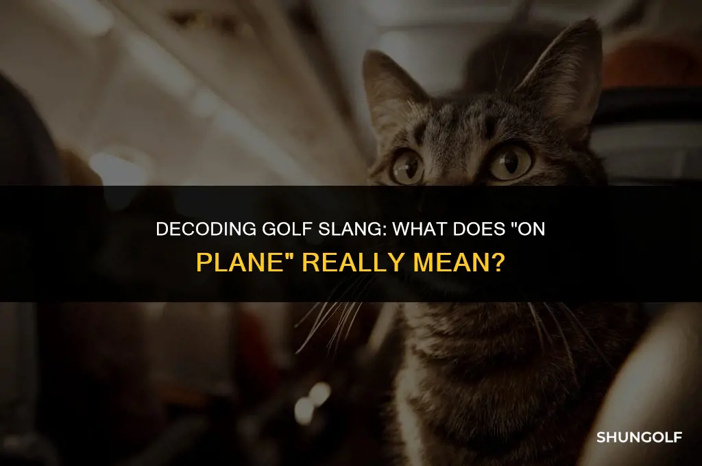 what does on plane mean in golf