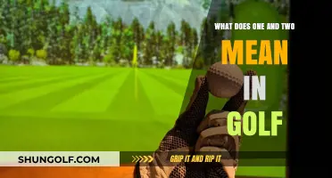 Decoding Golf Scores: Understanding One and Two in the Game
