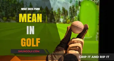 Decoding the Golf Term 'Parr': A Beginner's Guide to Scoring