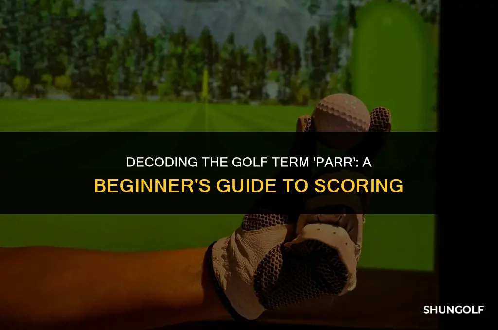 what does parr mean in golf