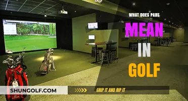 Decoding Golf Slang: What Does 'Pars' Really Mean?