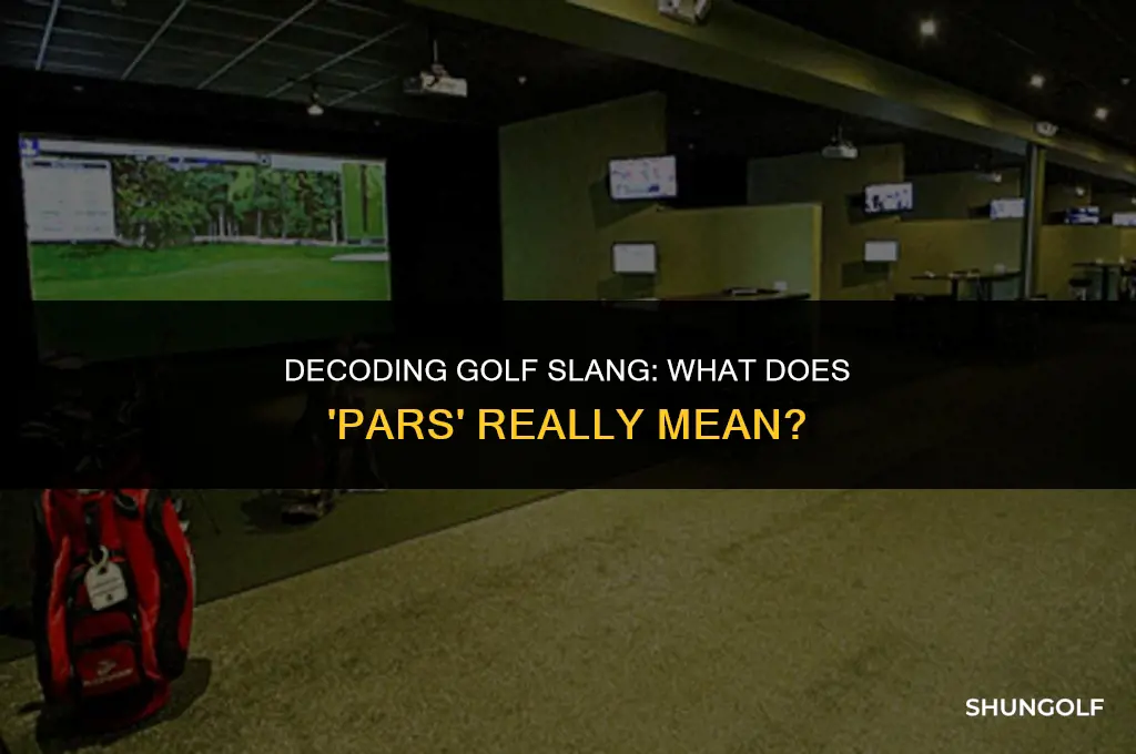 what does pars mean in golf