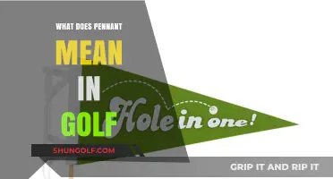 Understanding the Pennant: A Golfer's Guide to This Essential Flag