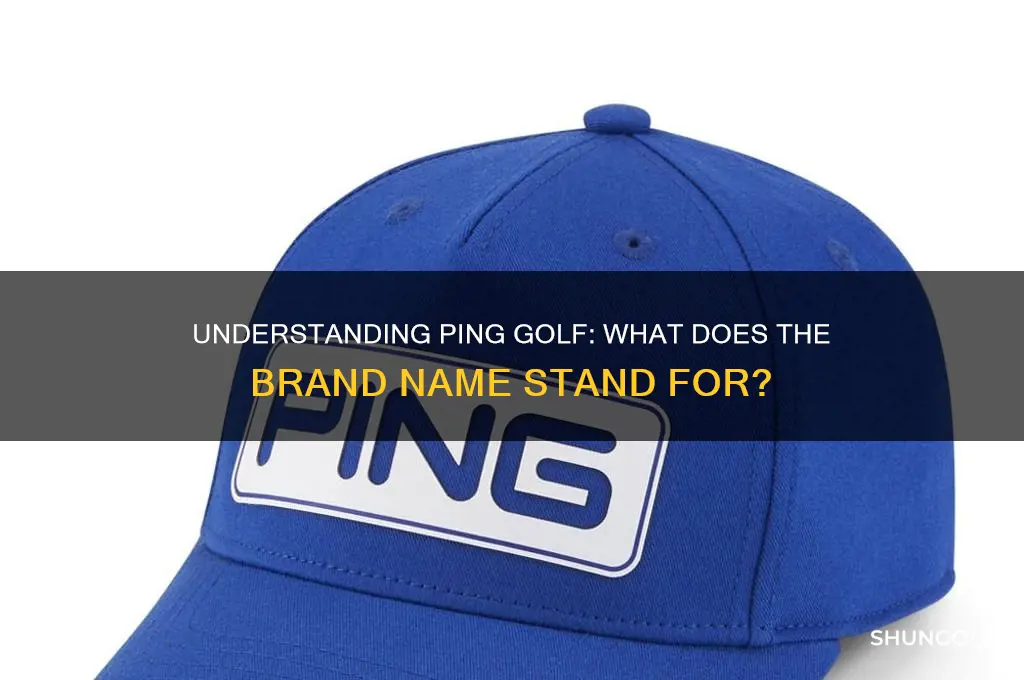 what does ping golf stand for