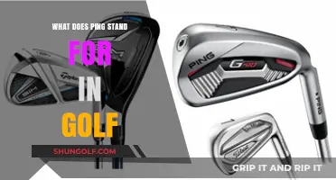 Understanding Ping in Golf: Meaning, Origin, and Brand Significance