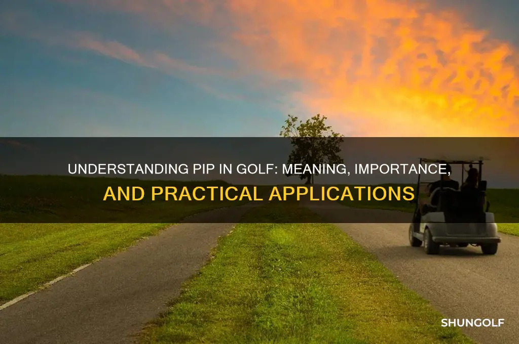what does pip stand for in golf