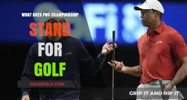 Understanding the PNC Championship: Golf's Unique Family Tournament Explained