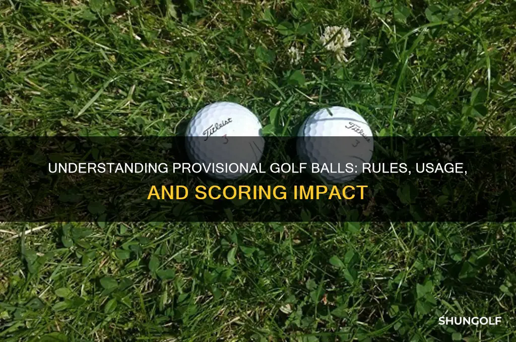 what does provisional in golf