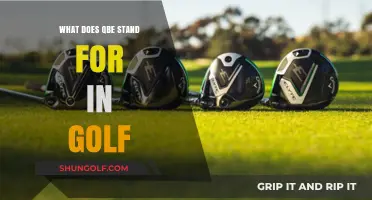 Understanding QBE in Golf: Meaning, Significance, and Impact on Tournaments