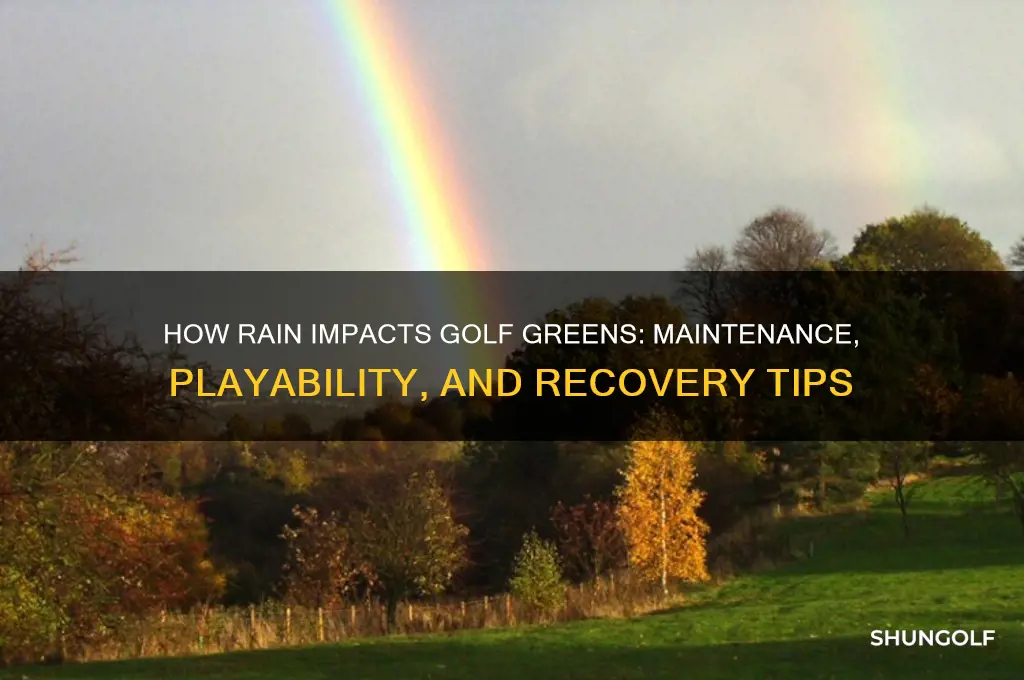 what does rain do to golf greens