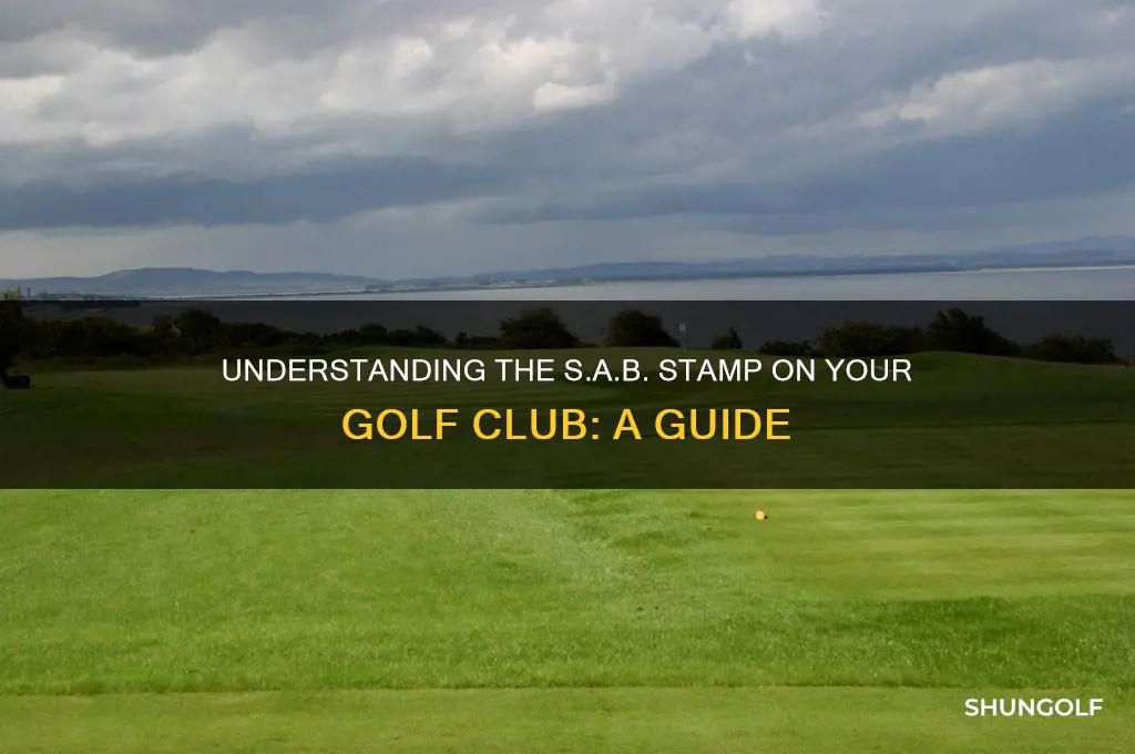 what does s a b on my golf club mean