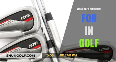 Understanding SGI in Golf: Definition, Benefits, and Impact on Your Game
