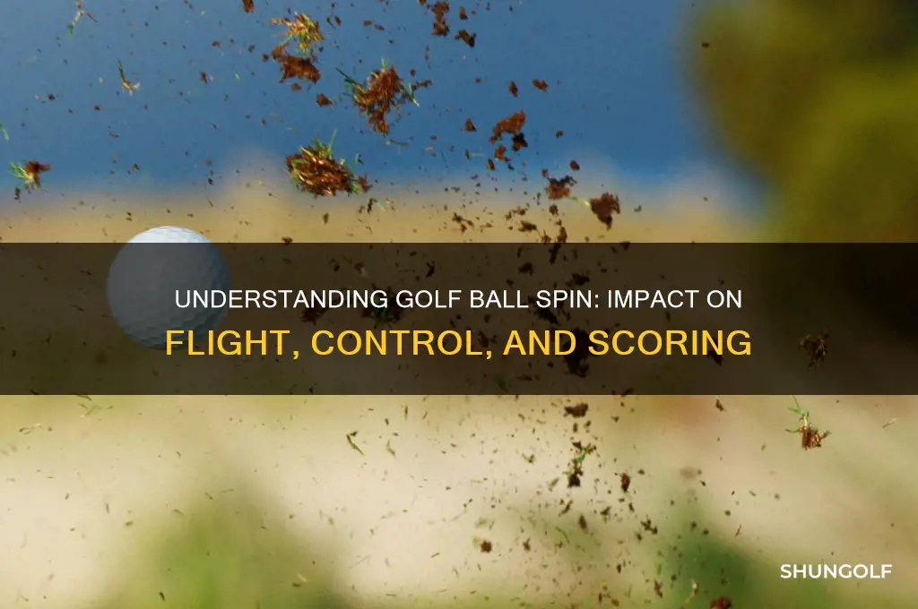 what does spin do in golf