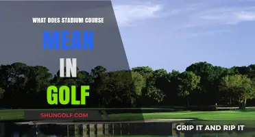 Understanding the Concept of a Stadium Course in Golf