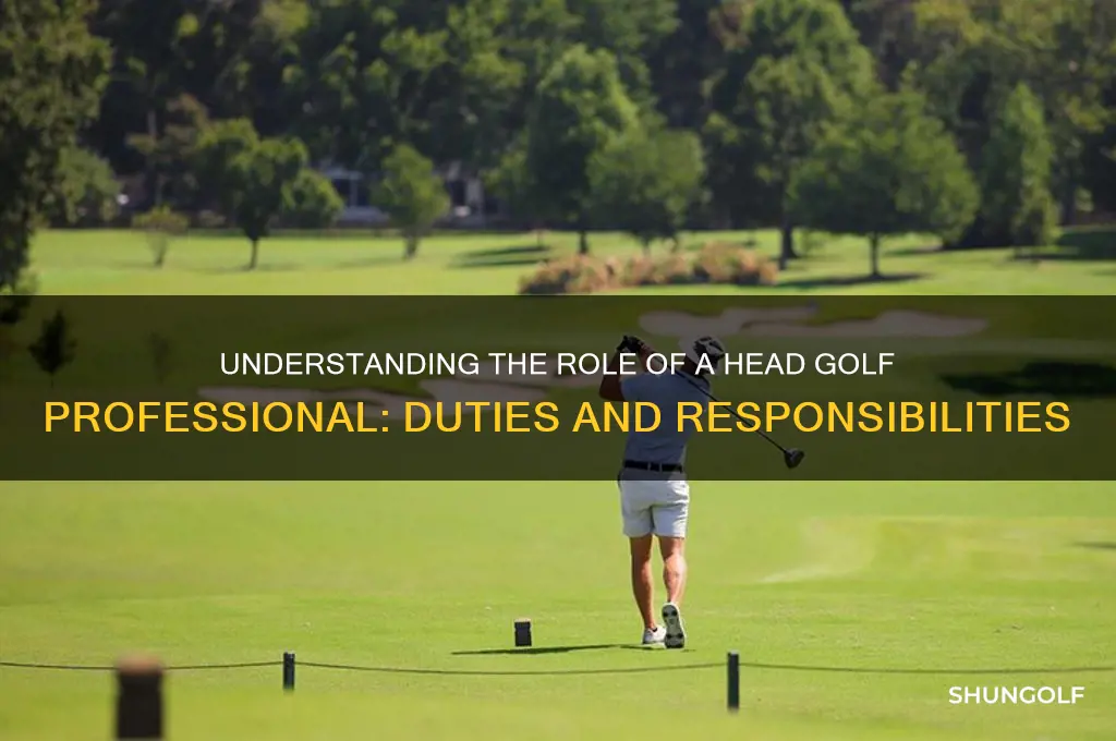 what does the head golf prfessional do