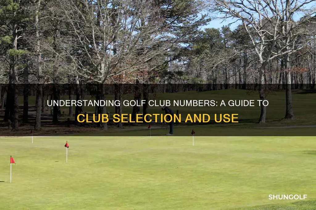 what does the number mean on golf clubs