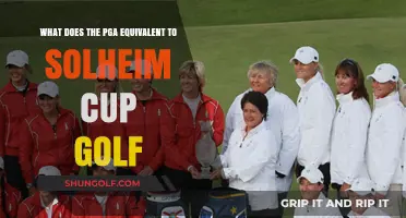 PGA's Ryder Cup: The Solheim Cup's Male Counterpart Explained