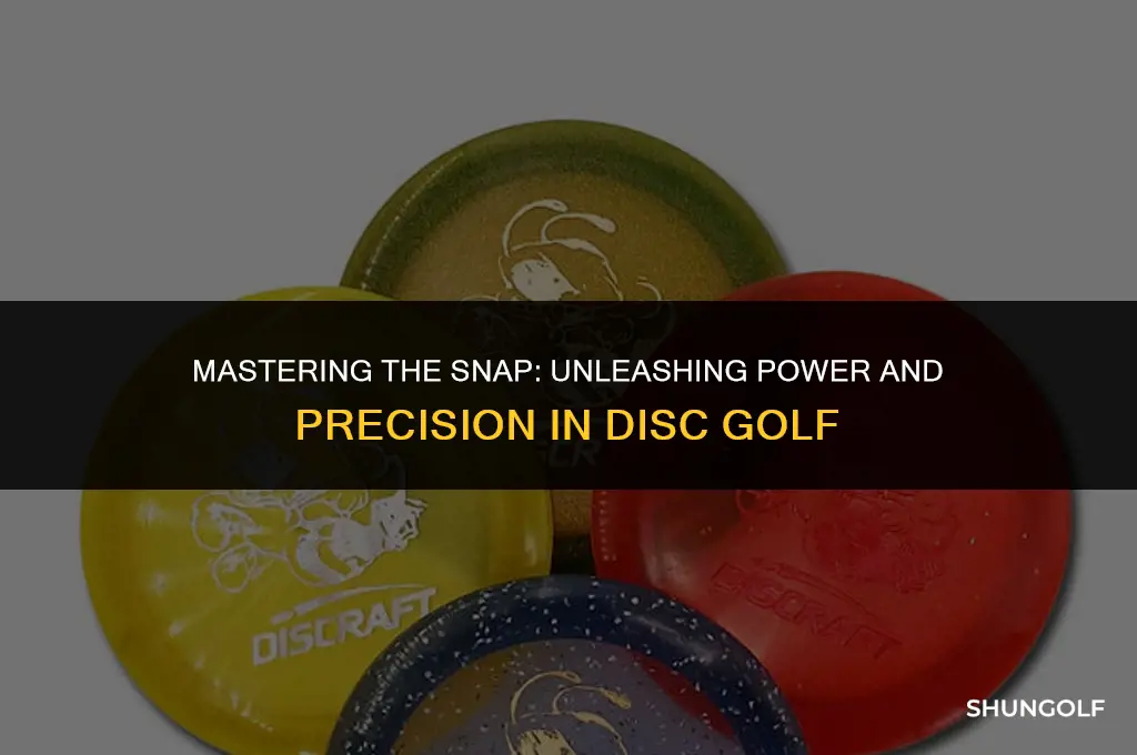 what does the snap in disc golf