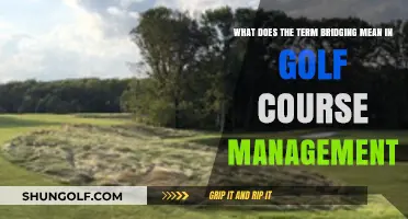 Understanding Bridging in Golf Course Management: Techniques and Benefits