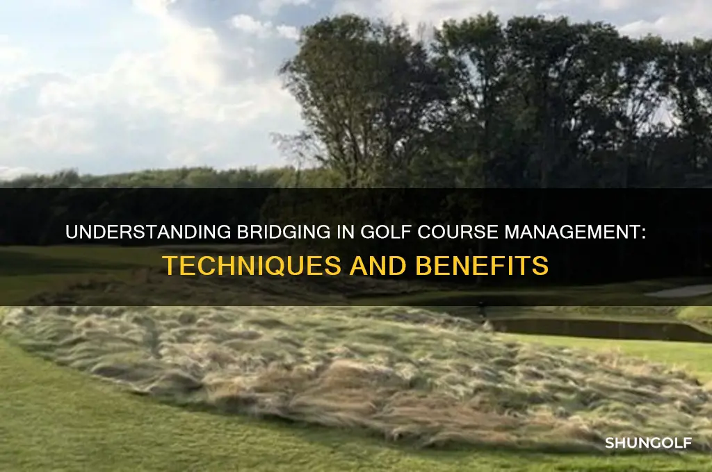 what does the term bridging mean in golf course management