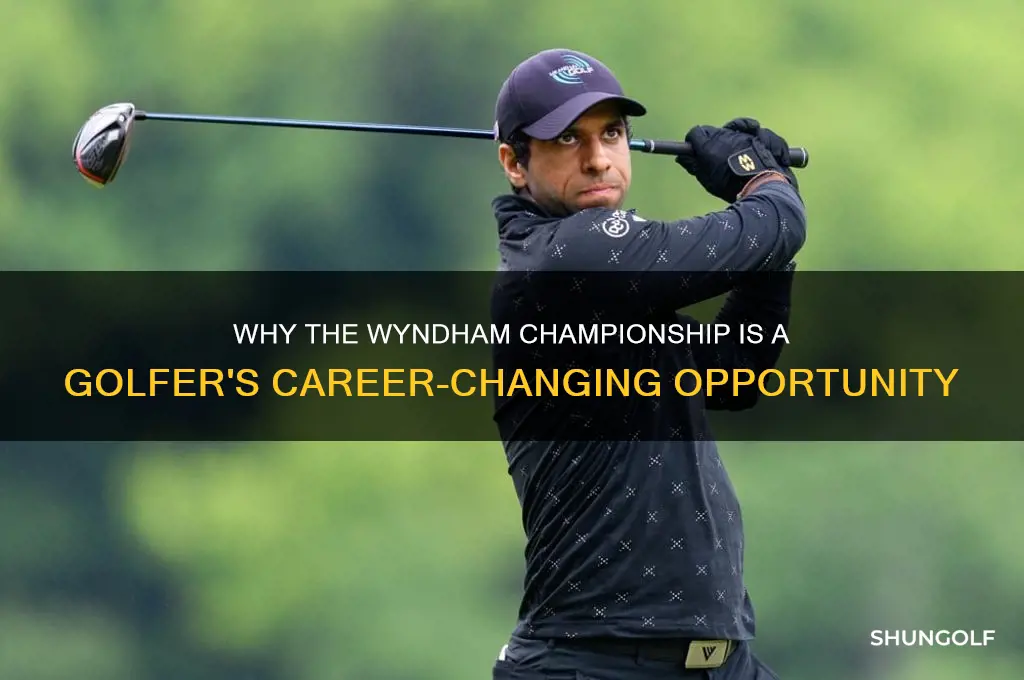 what does the whydam championship give the golfer