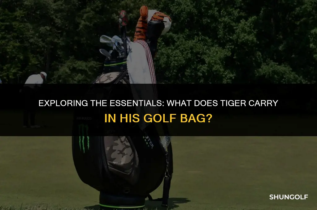 what does tiger carry in his golf bag
