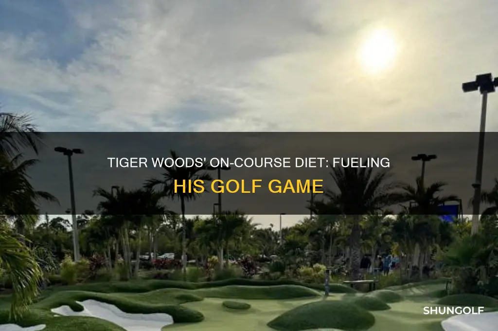 what does tiger woods eat during a round of golf