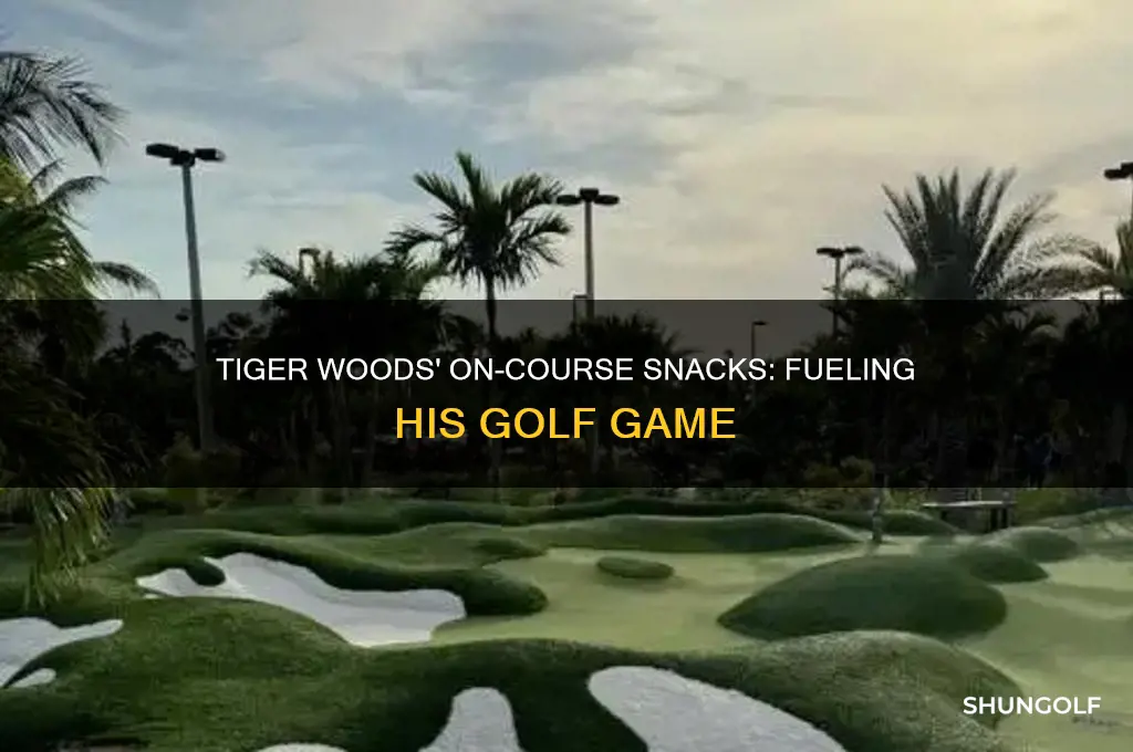 what does tiger woods eat on the golf course