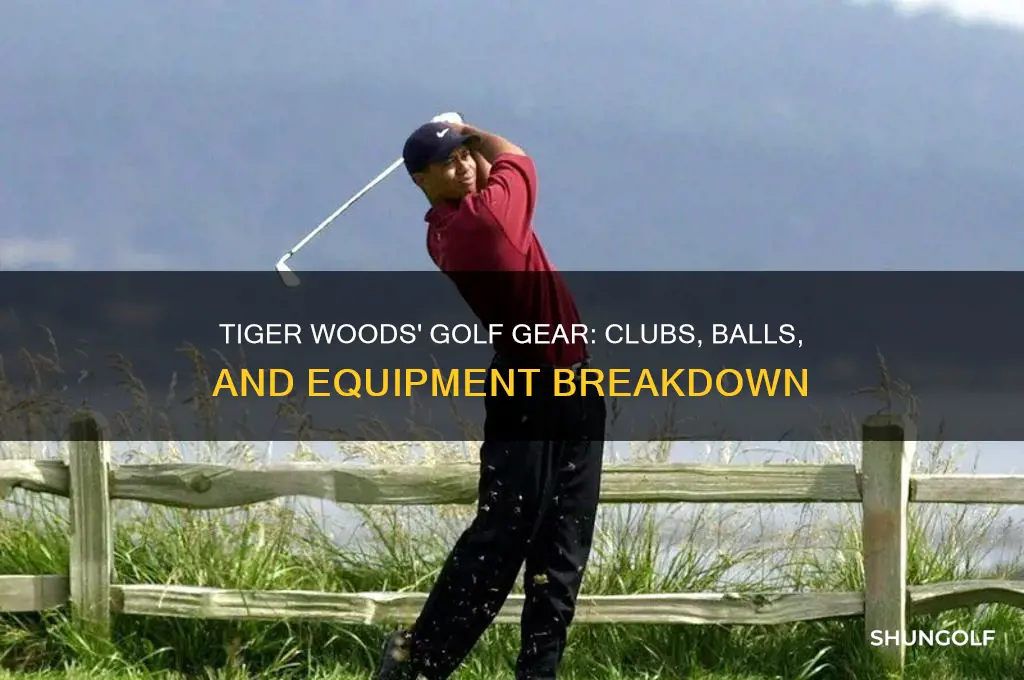 what does tiger woods golf with