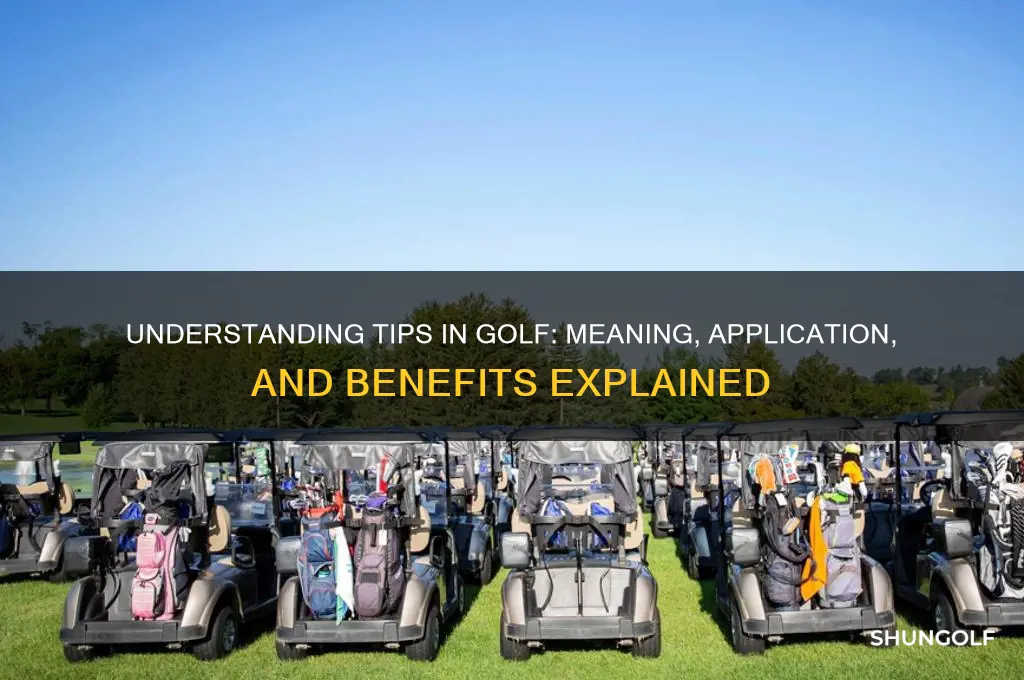 what does tips stand for in golf