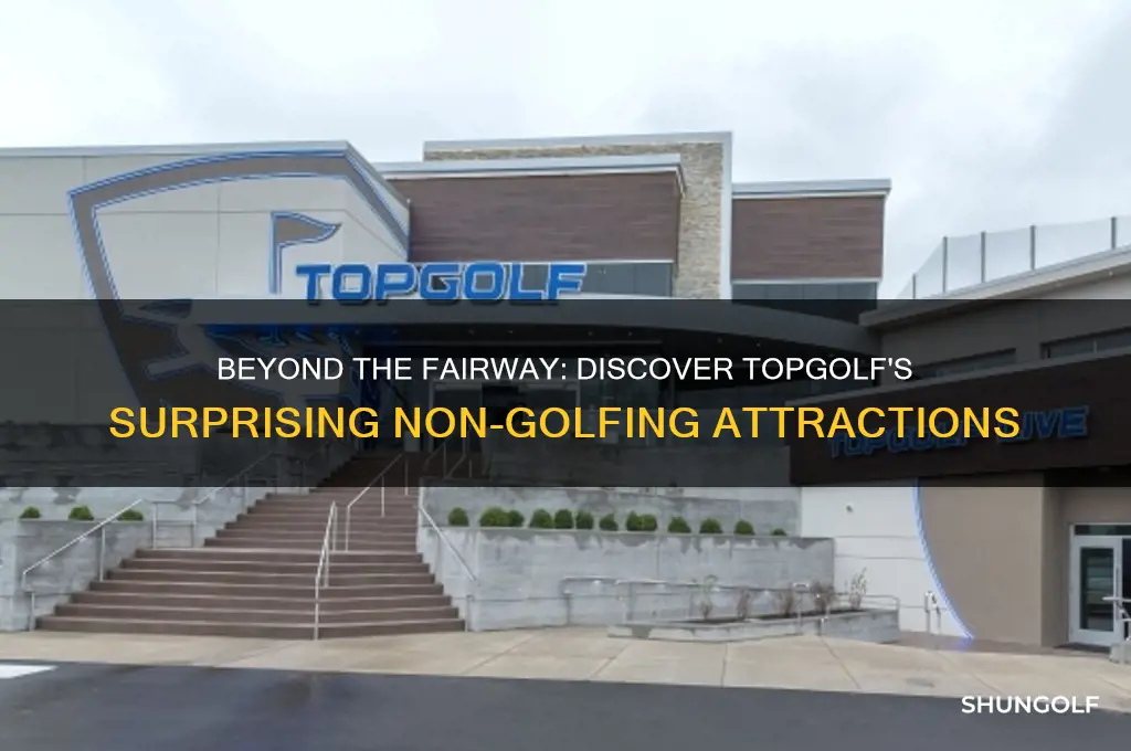 what does topgolf hav besides golfing