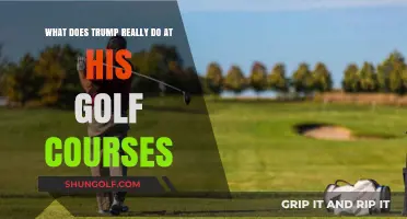 Trump's Golf Course Activities: Business, Leisure, or Political Strategy?