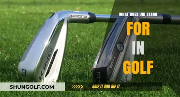 Understanding UDI in Golf: Meaning, Importance, and Practical Applications
