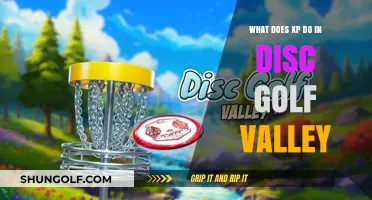 Unleashing the Power of XP in Disc Golf Valley: A Comprehensive Guide