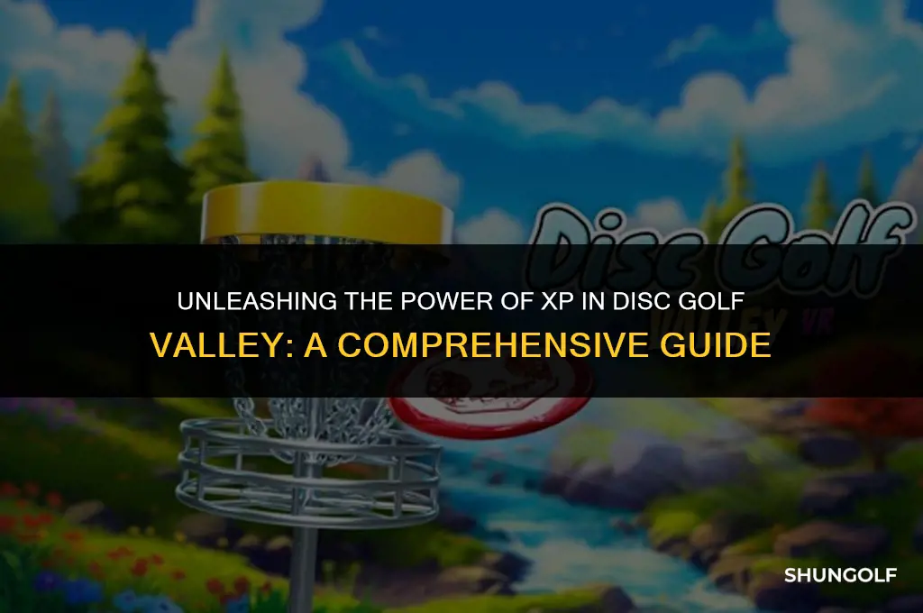 what does xp do in disc golf valley