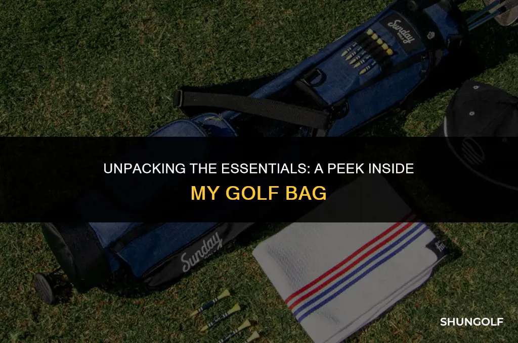 what does your golf bag look like