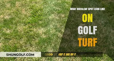 Identifying Leaf Spot on Golf Turf: Symptoms and Visual Guide