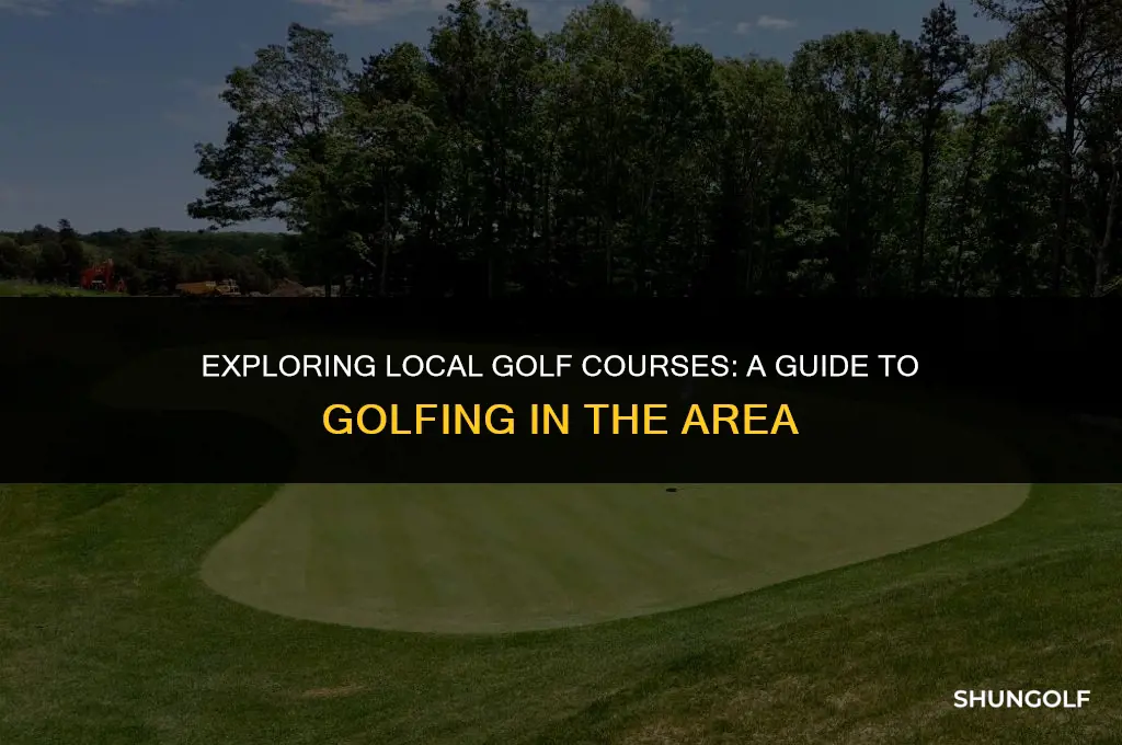 what doing golf in the area golf channel